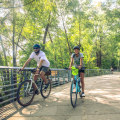 Discover the Best Beginner Trails in Austin for Cyclists